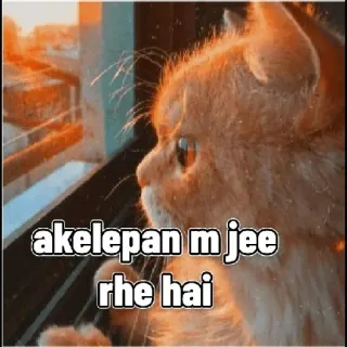 🥲 akelepan m jee rhe hai cat, pet, window, lonely, orange telegram sticker