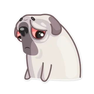 🙄 chien, triste, carlin, animal, mignon whatsapp sticker
