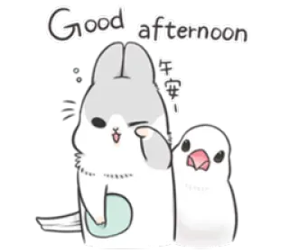 🐰 Good afternoon 午安 binatang, burung, imut, salam, sore telegram sticker