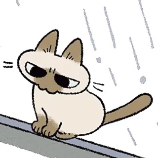 😢 cat, siamese, sticker, cute, animal telegram sticker