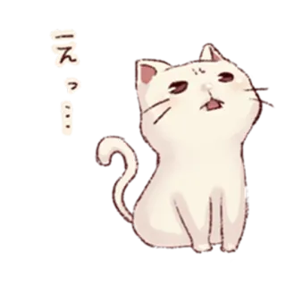 🙄 え？… kot, zwierzę, zwierzę domowe, biały kot, słodki, pytanie telegram sticker