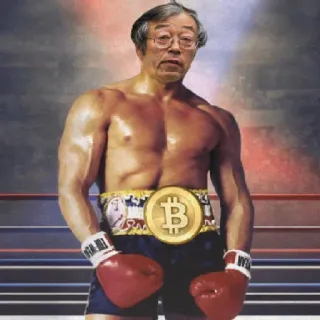 ⚡️ bitcoin, cripto, boxeo, luchador, dinero whatsapp sticker