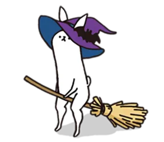 👻 chat, sorcière, halloween, balai, chapeau, mignon, animal whatsapp sticker