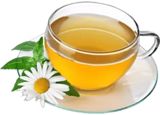 🤍 tea, chamomile, drink, herbal tea, beverage, cup telegram sticker