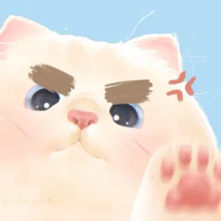 ✨ gato, bravo, irritado, fofo, animal de estimação, adesivo telegram sticker