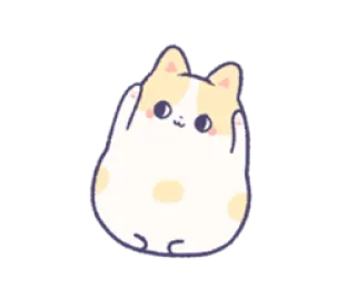 🙌 猫, 动物, 可爱, 贴纸, 卡通, 卡哇伊 whatsapp sticker