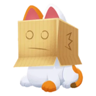 😐 gato, caixa, animal, adesivo, engraçado whatsapp sticker