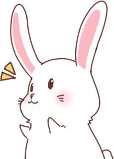 😘 conejo, animal, lindo, pegatina, sticker whatsapp sticker