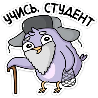 👴 УЧИСЬ, СТУДЕНТ птица, старик, студент, учеба, мультфильм whatsapp sticker