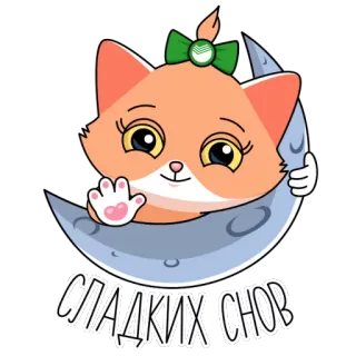 😴 СЛАДКИХ СНОВ кот, луна, спокойной ночи, сладких снов, милый, животное telegram sticker
