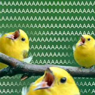 😮 AAAAAAAAAAAA oiseaux, jaune, mème, cri, volaille, mignon telegram sticker
