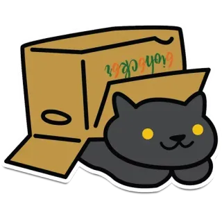 🤡 Sticker кот, коробка, котёнок, животное, милый, питомец, картон whatsapp sticker