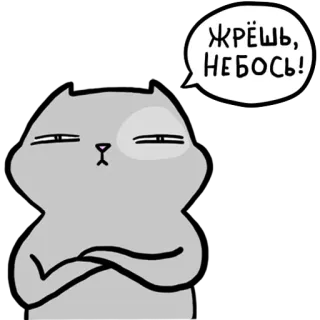 😐 ЖРЁШЬ, НЕБОСЬ! gatto, adesivo, cartone animato, animale, divertente, sarcastico telegram sticker