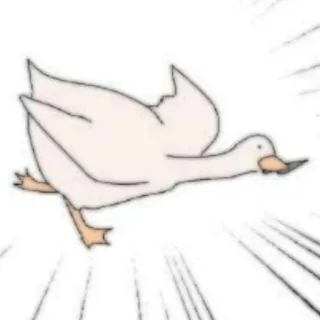 🦢 oie, course, oiseau, animal, autocollant whatsapp sticker