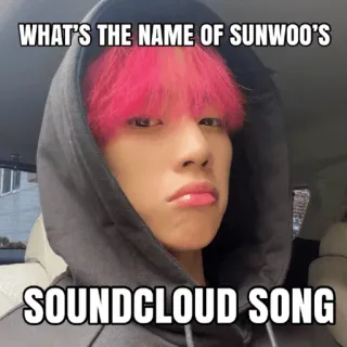 ❓ Sunwoo WHAT'S THE NAME OF SUNWOO'S SOUNDCLOUD SONG kpop, meme, music, portrait telegram sticker
