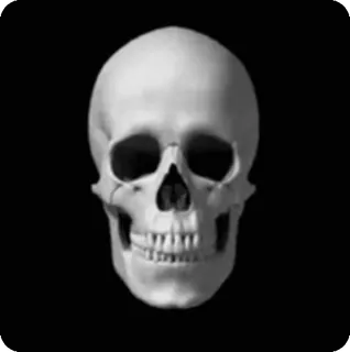 💀 đầu lâu, bộ xương, cái chết, giải phẫu, xương telegram sticker