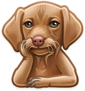 🐶 개, 동물, 애완동물, 강아지, 슬픈, 귀여운 telegram sticker
