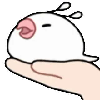 🐤