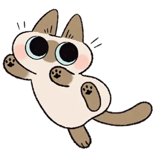 ☺️ cat, cute, animal, sticker, siamese, cartoon telegram sticker