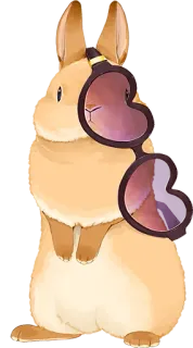 🐰 Hase, Tier, Häschen, Sonnenbrille, süß whatsapp sticker