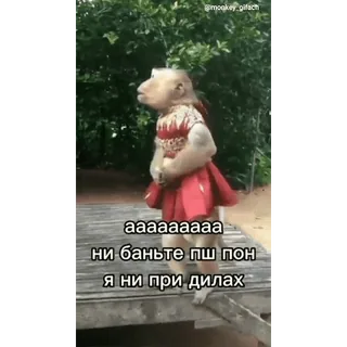 🐵 aaaaaaaa
ни баньте пш пон
я ни при дилах whatsapp sticker
