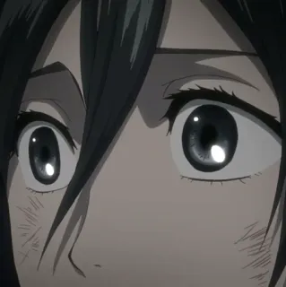 ❤️ Mikasa Ackerman Attack on Titan มิคาสะ, ผ่าพิภพไททัน, อนิเมะ, ตัวละคร, แอคเคอร์แมน whatsapp sticker