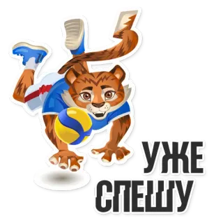 👟 УЖЕ СПЕШУ vôlei, tigre, esportes, animal, desenho animado, pressa, corrida telegram sticker
