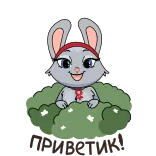 👋 telegram sticker