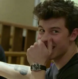 😂 Shawn Mendes singer, celebrity, portrait, male, person telegram sticker