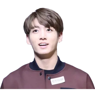 😅 Jungkook 안전하자! K-Pop, BTS, Jungkook, Sänger, männlich telegram sticker