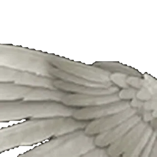 ⭐