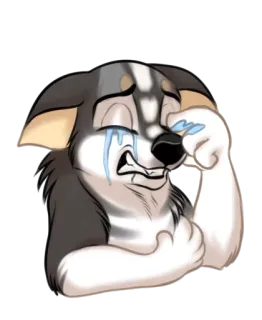😂 chorando, triste, cachorro, filhote, lágrimas, emocional telegram sticker