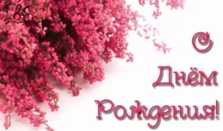 🔆 Днём Рождения! ulang tahun, bunga, merah muda, salam, perayaan telegram sticker