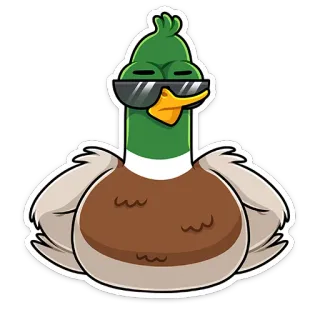 😎 pato, legal, óculos, desenho animado, pássaro telegram sticker