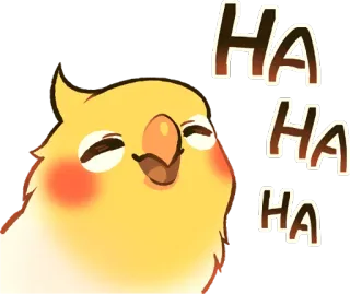 😅 HA HA HA 鳥, オカメインコ, オウム, 笑い, 面白い, ユーモア, 幸せ telegram sticker