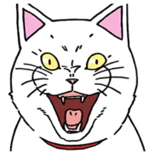 🐈 cat, animal, cartoon, sticker, white cat, angry, yelling, meme telegram sticker