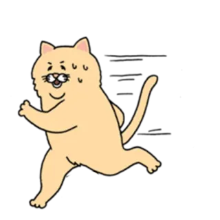 😏 cat, cartoon, animal, running, sweat, nervous, funny, sticker telegram sticker