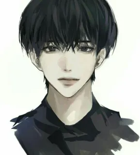 📖 Anime, Chico, Retrato, Arte, Masculino, Pelo negro whatsapp sticker