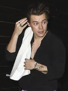 💷 Harry Styles Harry Styles, chanteur, célébrité, musicien telegram sticker