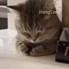 😭