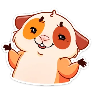 🤷‍♂️ หนูตะเภา, สัตว์, น่ารัก, การ์ตูน, สัตว์ฟันแทะ, สัตว์เลี้ยง telegram sticker
