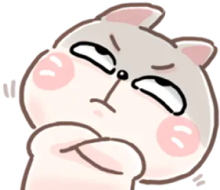 🙄 Katze, süß, wütend, Cartoon, Tier, Aufkleber whatsapp sticker