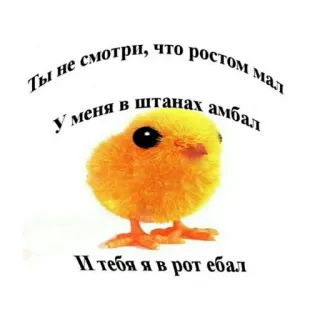 😇 Ты не смотри, что ростом мал
У меня в штанах амбал
И тебя я в рот ебал telegram sticker