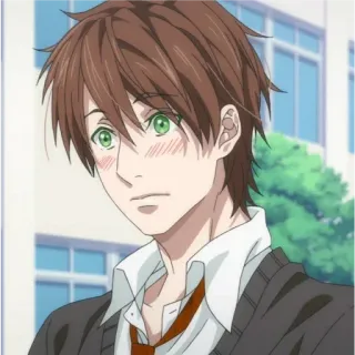 😳 Anime, Menino, Uniforme escolar, Rubor, Olhos verdes, Cabelo castanho telegram sticker