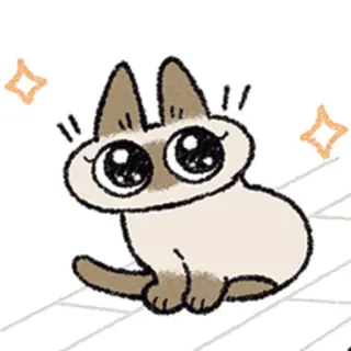 🤩 cat, kitten, cute, siamese, animal, pet, kawaii telegram sticker