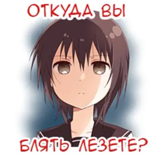 👧 ОТКУДА ВЫ 
БЛЯТЬ ЛЕЗЕТЕ? Anime-Mädchen, Russischer Text, Obszönität, Beleidigung whatsapp sticker