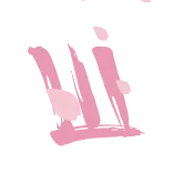 🌸