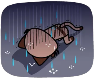 😰 고양이, 슬픈, 비, 외로운, 동물 telegram sticker