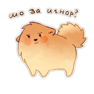 🙃 Шо за игнор? หมา, น่ารัก, ปอมเมอเรเนียน, เศร้า, ไม่สนใจ telegram sticker