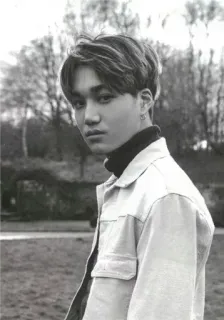 ▪ kpop, 한국, exo, 가수, 카이, 흑백, 인물사진, 음악 telegram sticker